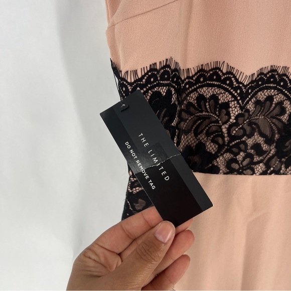 The Limited Blush & Black‎ Lace Sleeveless Midi Dress NWT Size 10 - Picture 4 of 16